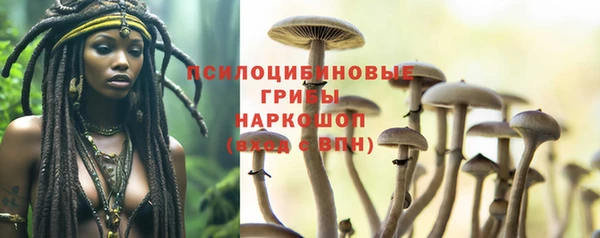мет Кодинск
